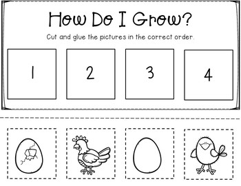 Chickens Life Cycle and Hatching Mini Unit by Coffee in Kinderland