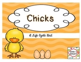 Chicks:  A Life Cycle Unit