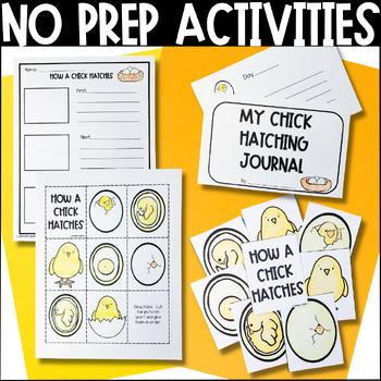 Chicken Life Cycle Activities by Miss Danielle Murphy | TpT