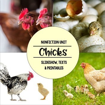 Preview of Chicks Nonfiction Close Reading & Visual Vocabulary