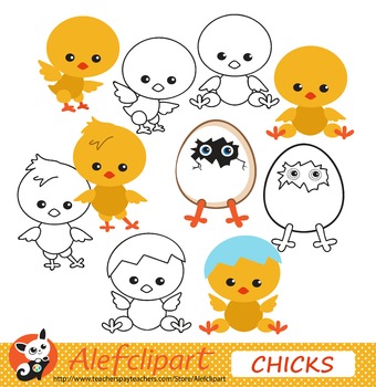 Chicky for Spring.Clip art. FREE! by AlefClipArt | TpT