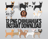 Chihuahua Clipart - PNG Pet, Standing Pose with Multicolor Coats