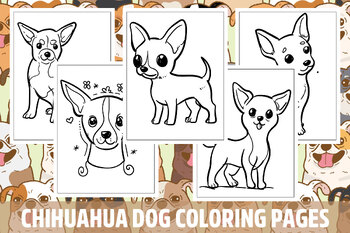  Paint by Numbers for Kids Ages 8-12 Girls Chihuahua