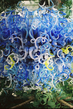 Preview of Chihuly POWER POINT (complement to Recycled Art Water Bottle Sculpture Lesson)