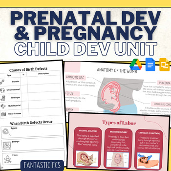 Preview of Child Development- Prenatal Development, Pregnancy, & Childbirth Unit