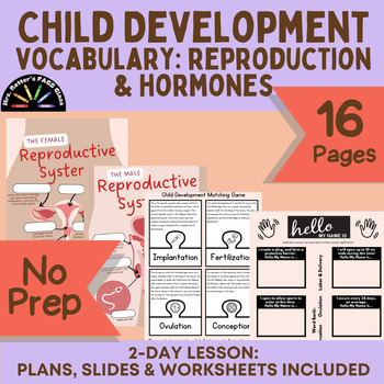 Preview of Child Development -Reproductive Systems Vocabulary - Lesson, Slides & Worksheets