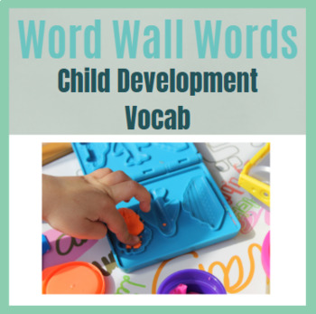 Preview of Child Development Vocab Word Wall Words
