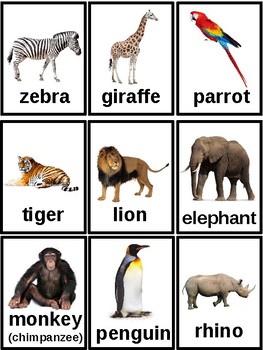 Animals Flashcards For Kids