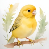 Children's Watercolor Poster Featuring Bird Animals - Wall art