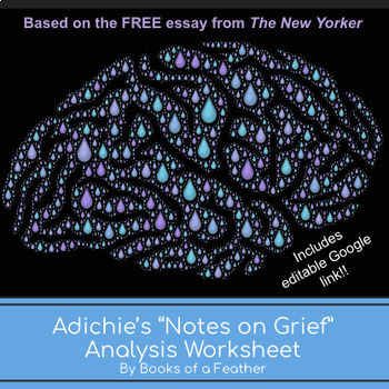 Preview of Chimamanda Ngozi Adichie’s Notes on Grief Analysis Worksheet