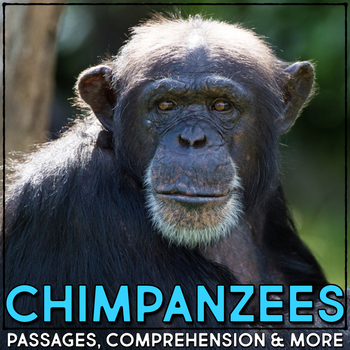 Preview of Chimpanzee Animal Research Nonfiction Reading Passage & Comprehension Activities