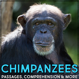 Chimpanzee Animal Research Nonfiction Reading Passage & Co