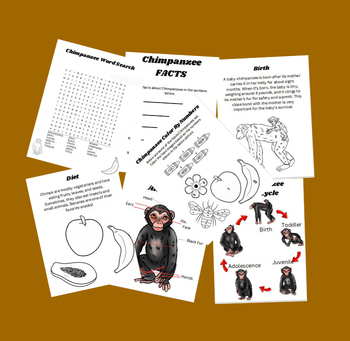 Chimpanzee Life Cycle Activity Book PDF by Learning is Amazing | TPT