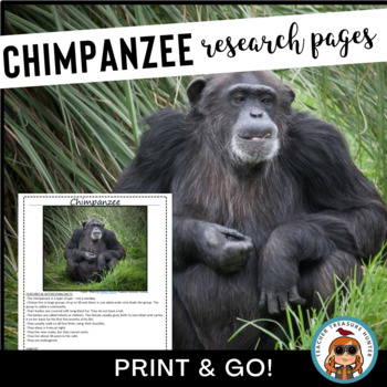 Preview of Chimpanzee Research Reading Pages for Rainforest Animal Reports or Unit 1st 2nd