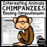 Chimpanzees Informational Text Reading Comprehension Works