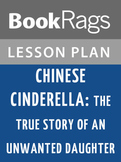 Chinese Cinderella: Lesson Plans