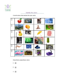Preview of Chinese Color Recognition Worksheet