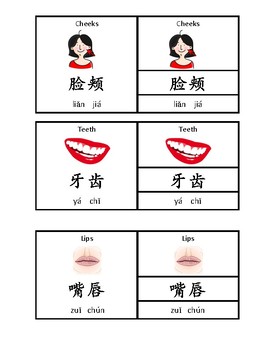 Chinese/English Bilingual Montessori Three Part Cards - My Face | TpT