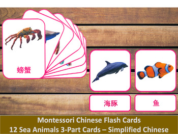 Preview of Chinese Flash Cards // Sea Animals // 12 Cards (Montessori) // Simplified