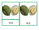 Chinese Montessori Three Part cards - Tropical Fruits - 25 fruits