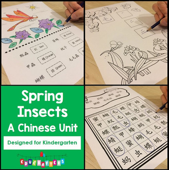 Preview of Learn Chinese - Insects - Mandarin Teaching Materials