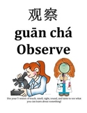 Chinese, pinyin, English Science Posters