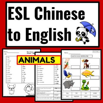 Preview of Chinese to English ESL Newcomer Activities: Animals Worksheets-Vocab-Questions