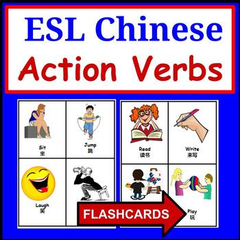 Preview of Chinese to English ESL Newcomer Activities: ESL Flashcards- Action Verbs