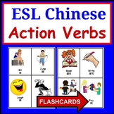 Chinese to English ESL Newcomer Activities: ESL Flashcards