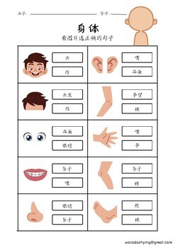Preview of Chinese worksheets-Body chinese worksheets for Bilingual students  and kids