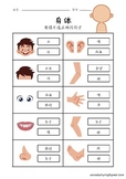 Chinese worksheets-Body chinese worksheets for Bilingual s