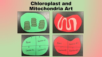 Preview of Chloroplast and Mitochondria Art Activity and Thinking Questions