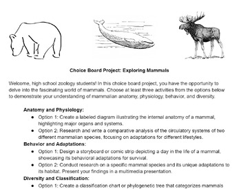 Preview of Choice Board Project: Exploring Mammals