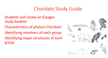 Preview of Chordate Study Guide