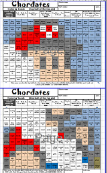 Preview of Chordates / Vertebrates ~MARIO~ Color by Vocab -Free Content! - STEM