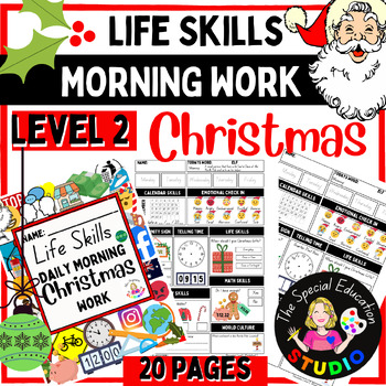 Preview of Christmas Activity Booklet Life Skills Differentiated Special Education PDF L2