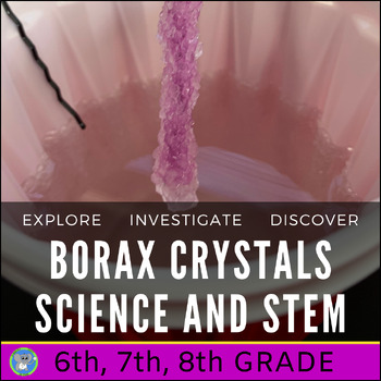 Preview of Christmas Science Activity | Borax Crystal Growth Experiment | GR 6 7 8