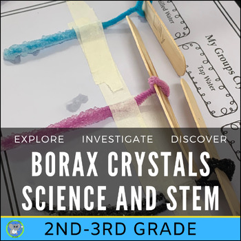 Preview of Christmas Science Activity | Borax Crystal Growth Experiment | Grade 2 3