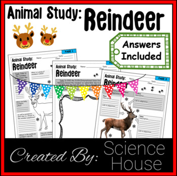 Preview of Christmas Biology: Science Reindeer Adaptation