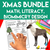 Christmas Projects |  Bundle |  Math | Biomimicry Design A