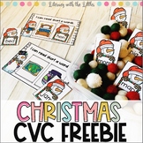 Christmas CVC Center | Sensory Bin for December