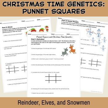 Preview of Christmas Genetics Worksheet: Reindeer, Elves, and Snowmen Punnet Squares