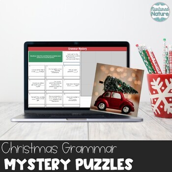 Preview of Christmas Grammar Pixel Art Puzzles Conjunctions Adjectives Plural Possessive