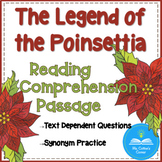 Christmas Holiday Around the World, Reading Comprehension,