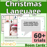 Christmas Language Activities, Wh Questions Winter Seasona