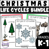 Christmas Life Cycle Bundle - Christmas Tree, Reindeer, an