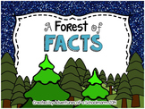 Christmas Math Center Fact Families