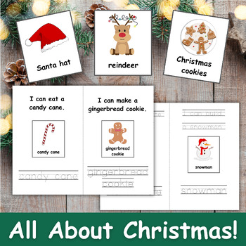 Preview of Christmas Picture Vocabulary Cards, Book, and Writing Practice - Autism and ESL