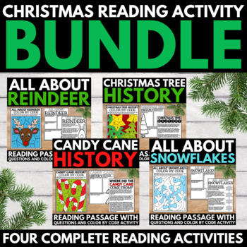 Preview of Christmas Reading Comprehension Projects - Holiday Reading Activities Winter