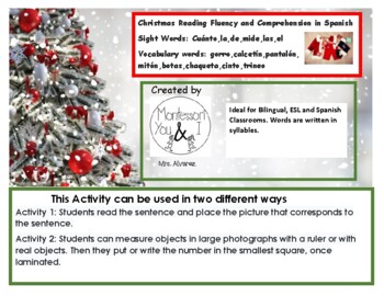 Preview of Christmas Reading Fluency  and  Comprehension in Spanish
